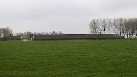Gelderland wil omvang veehouderij maximaliseren