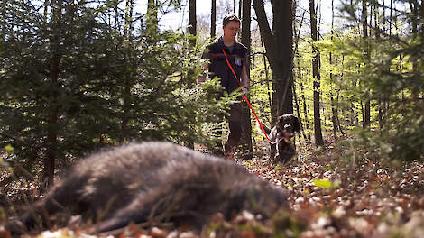 Duitse deelstaat Brandenburg heft alle AVP-beperkingen op, behalve Poolse grens