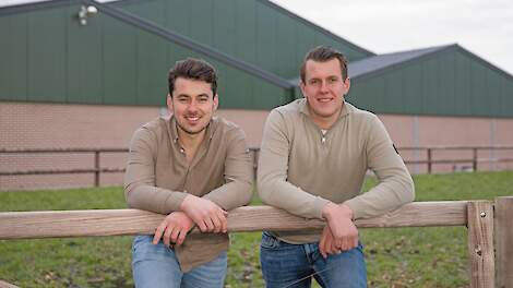 Varkensbedrijf Van den Berkmortel: ‘Modern bedrijf en maatschappelijke openheid gaan samen’