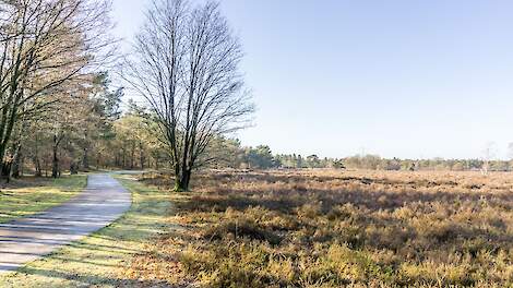 Is dat strookje grond van jou? Verjaring in de praktijk
