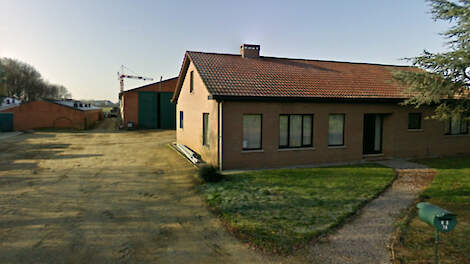 Drugslab in varkenstal: 200 varkens gestorven en 700 verwaarloosd