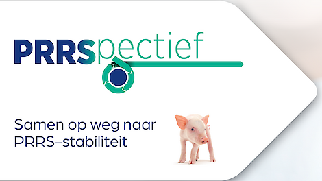 PRRSpectief: samen werken aan stabiele resultaten