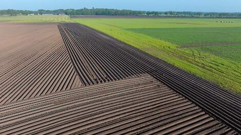 Intekenen van percelen: waarom de kadastrale grens belangrijker wordt