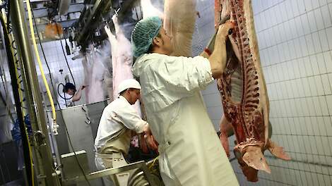 Vleessector gaat werkomstandigheden 15.000 medewerkers vergaand borgen