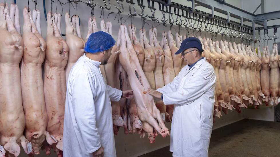 Overname biggenslachterij Pigarné door Compaxo