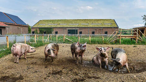 Uitspraak RvS zorgt voor nieuwe vertraging komst Livar Experience Centre
