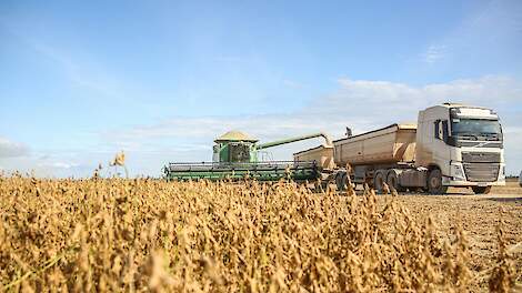 Chinese varkenshouders op soja-dieet experimenteren met gefermenteerde alternatieven