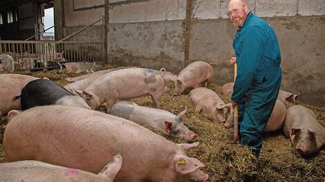 Biologisch varkenshouder Wennekers: ‘Staartbijten gebeurt niet uit verveling’
