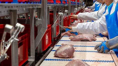 Vier slachthuizen hele dag dicht door stakende NVWA-medewerkers