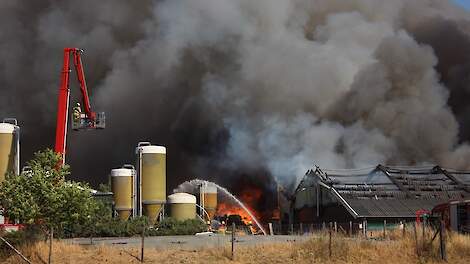 Iets minder stalbranden in 2025; vooral pluimvee getroffen en minder varkens