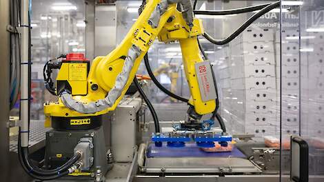 Van Loon innoveert verder met hybride vlees: ‘Coca-Cola had ook jaren nodig voor cola light’