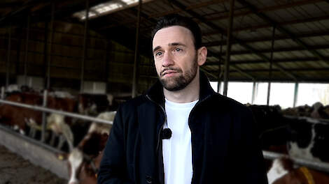 Staatssecretaris Erkens: ‘Sneller invoeren hitteprotocol betekent een risico voor dierenwelzijn’