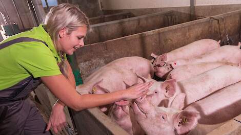 Meer rust in de stal, minder stress voor jou