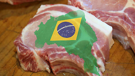 Braziliaanse varkensvleesexport blijft groeien