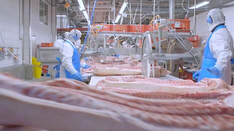 Filippijnen stellen markt weer open voor Spaans varkensvlees
