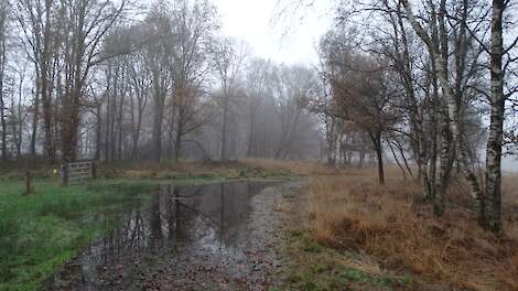 Opnieuw onrust bij boeren rond Overijssels natuurgebied Boetelerveld