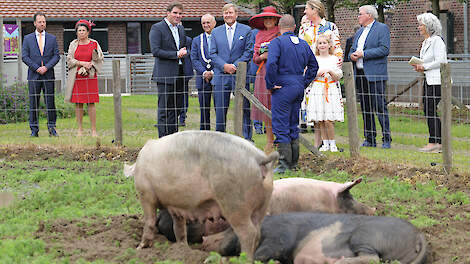 ‘Voortaan noemen we onze ham Koninginnenham’