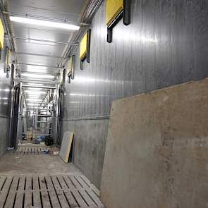 De centrale gang met aan weerszijden de inlaatventielen voor de dragend zeugventilatie. De lucht komt onder de vloer door de roosters omhoog. De binnenwanden in de stal bestaan volledig uit kunststof. Het dak is bedekt met sandwichpanelen.