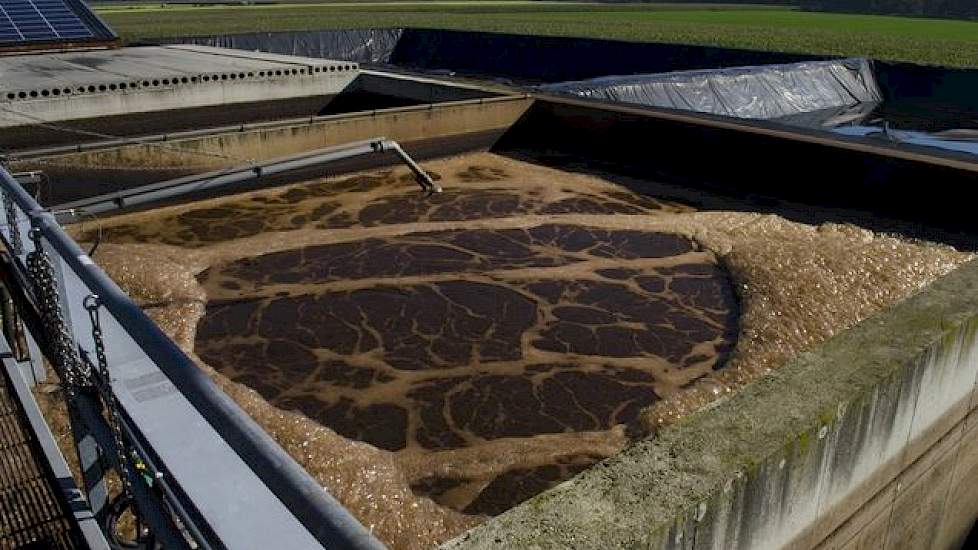 Een reden voor de uitbreiding met 2.200 varkens was het feit dat hij met Trevi nu nog meer kaliwater kan produceren voor zijn aardappelen. De mest wordt eerst in dunne en dikke fractie gescheiden. De dunne fractie gaat naar een bassin en door bacteriën ko