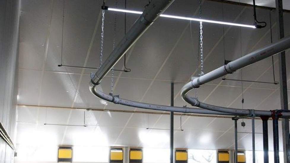 Lichtstraat en led-verlichting. Het lijkt een detail, maar Jos Naalden liet drie aparte circuits met led-tubes en een daglicht/schemerschakeling in de stal installeren. De hoeveel daglicht bepaalt automatisch hoeveel rijen led-tubes licht geven.