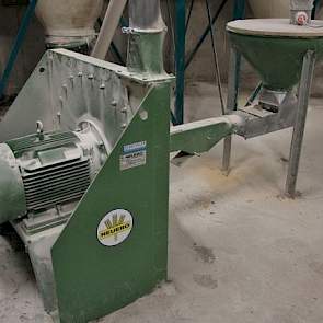 Deze hamermolen in de voerkeuken vermaalt ’s-nachts de tarwe, mais en het sojaschroot uit de voorraadsilo’s. De keuze voor tarwe is bewust, want dit product laat zich beter vermalen dan bijvoorbeeld gerst.