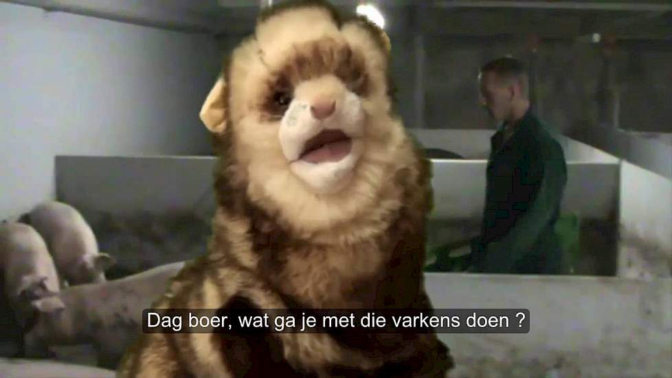 Fret Raket onderzoekt varkenstransport bij Posthouwer Boerkamp