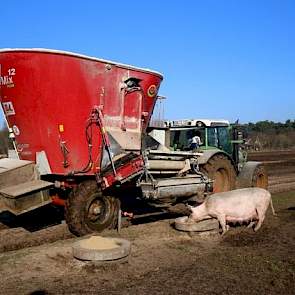 Alle zeugen in de weitjes krijgen dagelijks hun eigen verse rantsoen: een vochtig mengsel op basis van eigen silage van snijmais en suikerbieten. Daarnaast wordt sojapulp, maismeel, tarwegries, gerst en aanvullend voer bijgemengd.