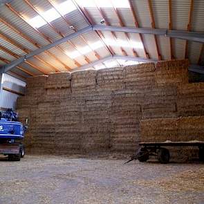 Ook anders dan bij een conventionele varkenshouderij: een gigantische opslaghal voor de opslag van strobalen. Jaarlijks is zo’n 800 ton gerststro nodig. Lödden hanteert twee kwaliteitsniveaus stro.