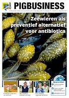 Cover Vakblad Pig Business › Editie 2017-6