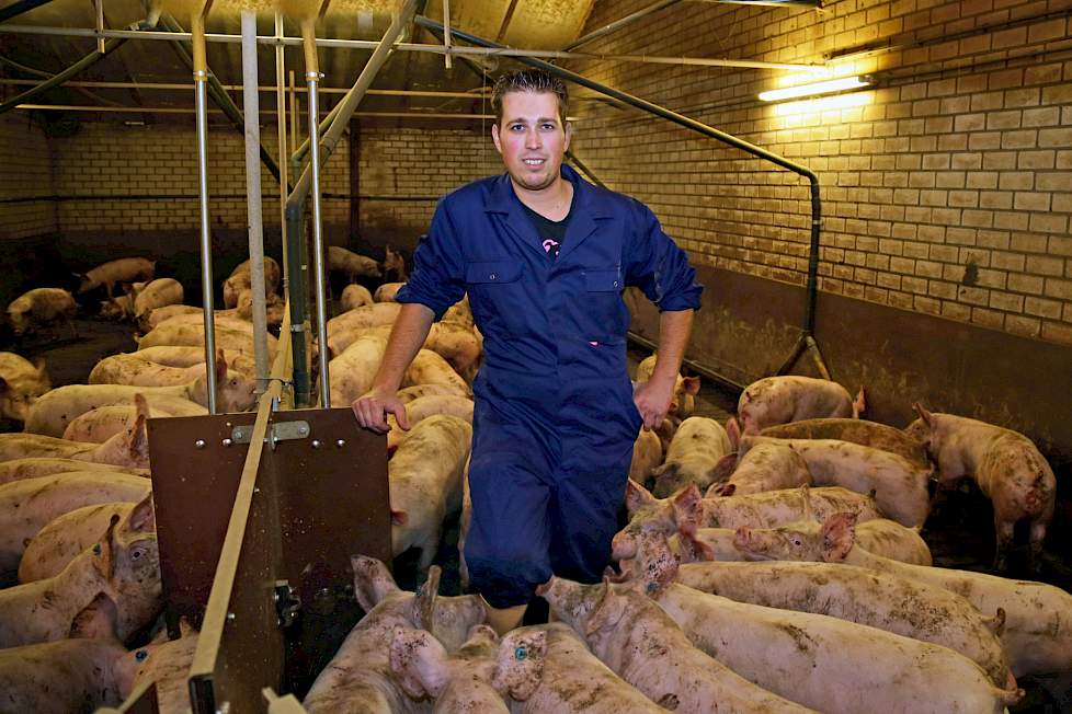 Thema-avond Pig Business “Gezondheid”