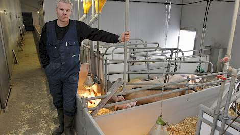 Biologische varkens