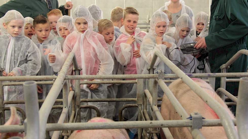 Pascal en Anja Blokhorst hebben een varkensbedrijf met 550 zeugen en twee beren. Ook zijn er 100 opfokzeugen, 1.000 biggen in de kraamhokken en 2.000 gespeende biggen. De kinderen van groep 4, 5, en 6 hebben op school al een berg informatie gekregen over