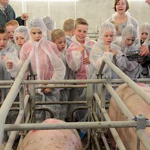 Pascal en Anja Blokhorst hebben een varkensbedrijf met 550 zeugen en twee beren. Ook zijn er 100 opfokzeugen, 1.000 biggen in de kraamhokken en 2.000 gespeende biggen. De kinderen van groep 4, 5, en 6 hebben op school al een berg informatie gekregen over