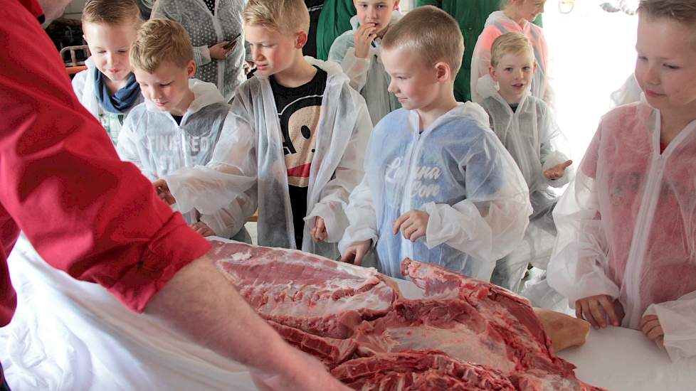 De plaatselijke slager laat zien waar de speklappen zitten. Een van de kinderen vraagt waar het hart zit. De meeste kinderen vinden het fascinerend maar niet eng dat hier een ‘dood varken’ ligt, laat de slager weten.