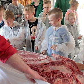 De plaatselijke slager laat zien waar de speklappen zitten. Een van de kinderen vraagt waar het hart zit. De meeste kinderen vinden het fascinerend maar niet eng dat hier een ‘dood varken’ ligt, laat de slager weten.