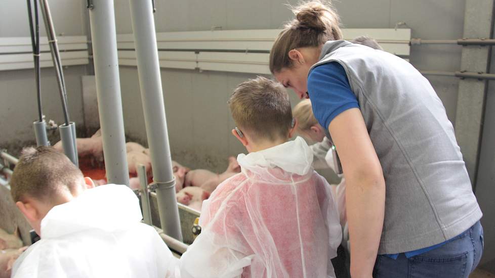 De dierenarts geeft antwoord op de vraag waarom twee varkens geel lijken. Dat dit komt omdat ze ook rood haar hebben dat bij het ras hoort, stemt de kinderen tevreden.