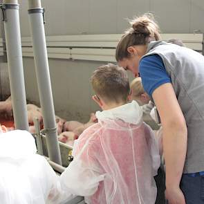 De dierenarts geeft antwoord op de vraag waarom twee varkens geel lijken. Dat dit komt omdat ze ook rood haar hebben dat bij het ras hoort, stemt de kinderen tevreden.