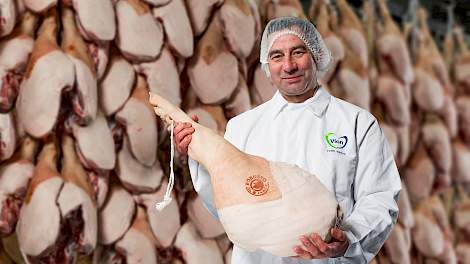 Robusto ham