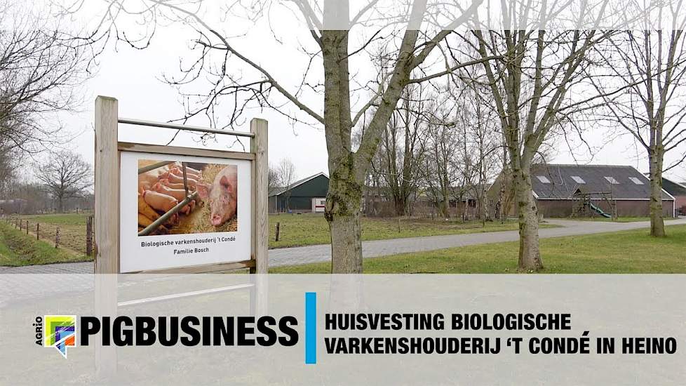 Huisvesting biologische varkenshouderij 't Condé in Heino